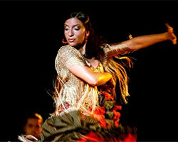 Arte y Compás | Studio Flamenco