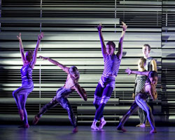 Suite Synergy | Mod Dance Company