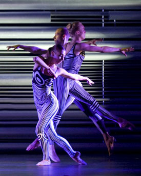 Suite Synergy | Mod Dance Company