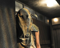 The Dark Room | Belvoir