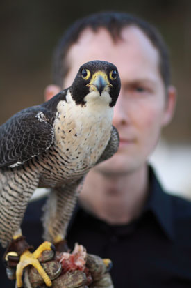 SYNCRETISM: The Evening with Lawrence English