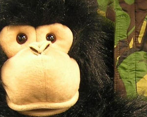 Bluey | Tin Shed & Tamarama Rock Surfers