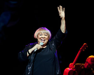 Notes From the Hard Road and Beyond