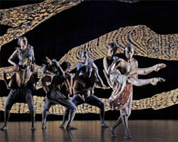 Belong | Bangara Dance Theatre