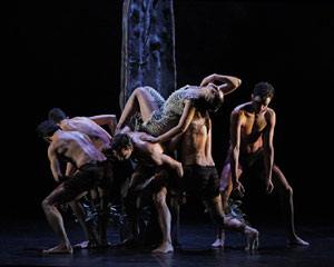 Belong | Bangara Dance Theatre