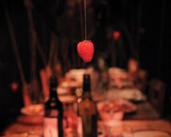 A Dinner With Gravity | Sarah Winter