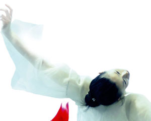 The Peony Pavilion | National Ballet of China