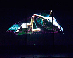 Proximity | Australian Dance Theatre