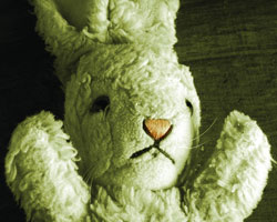 White Rabbit Red Rabbit