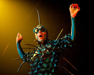 Ovo | Cirque du Soleil