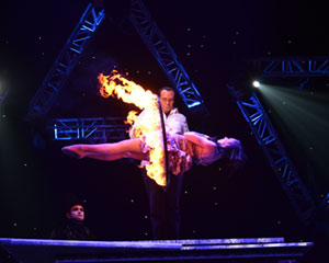 The Illusionists