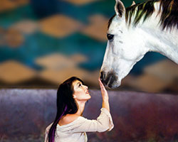 Cavalia