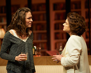 Other Desert Cities | Queensland Theatre Company