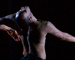 Blak | Bangarra Dance Theatre