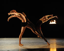 Vanguard | Australian Ballet