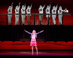 Legally Blonde The Musical