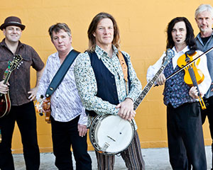 Mullum Music Festival 2013