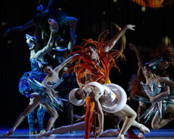 Cinderella | The Australian Ballet