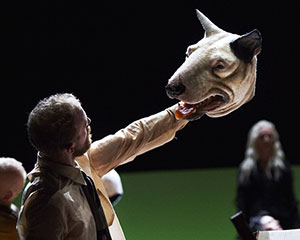 Rite Of Spring/Petrushka | Fabulous Beast Dance Theatre