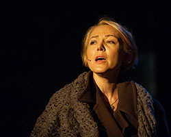 Evolution, Revolution and the Mail Order Bride