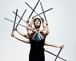 Am I | Shaun Parker & Company