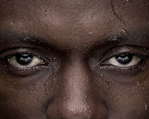 Status | STATUS Consortium