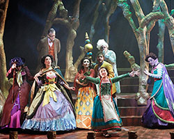 Into the Woods | Victorian Opera