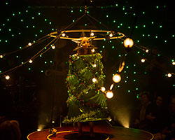 Close to the Bone | Circus Oz