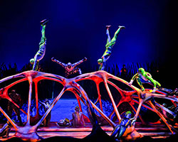 Totem | Cirque du Soleil