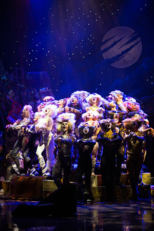 CATS returns to Australia in 2015