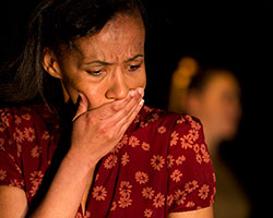 The Bleeding Tree | Griffin Theatre Company
