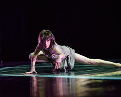 Life in Progress | Sylvie Guillem