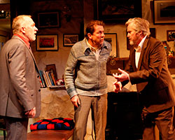 The Weir | Melbourne Theatre Company