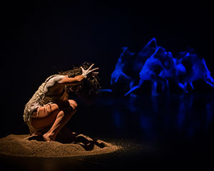 New Breed | Sydney Dance Company