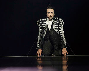 Little Bird | Paul Capsis