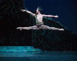 The Dream | The Australian Ballet