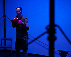 Bitch Boxer | Bull Ant Productions