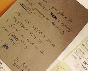 Share House | 2015 Big West Festival