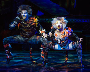 Cats - the musical