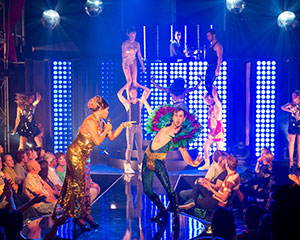 Velvet | Organised Pandemonium