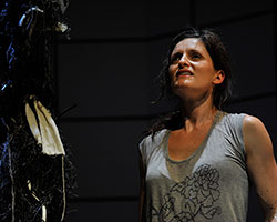 Swallow | National Theatre of Parramatta