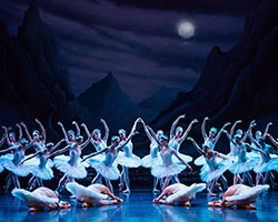 Swan Lake | Australian Ballet