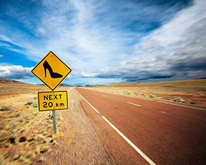 Beyond Priscilla: The Play | Niche