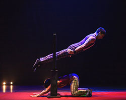 But Wait… There’s More | Circus Oz