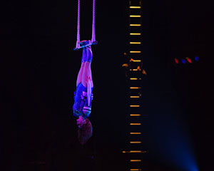 But Wait… There’s More | Circus Oz
