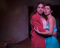 The Honey Bees | Red Stitch