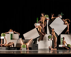CounterMove | Sydney Dance Company