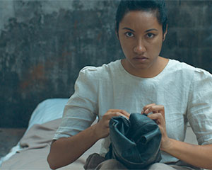 Colony | Curious Works