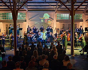 Beethoven, Beer, Bratwurst… and Bjork! | Perth Chamber Orchestra