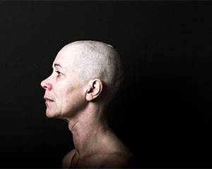 Wit | Artisan Collective